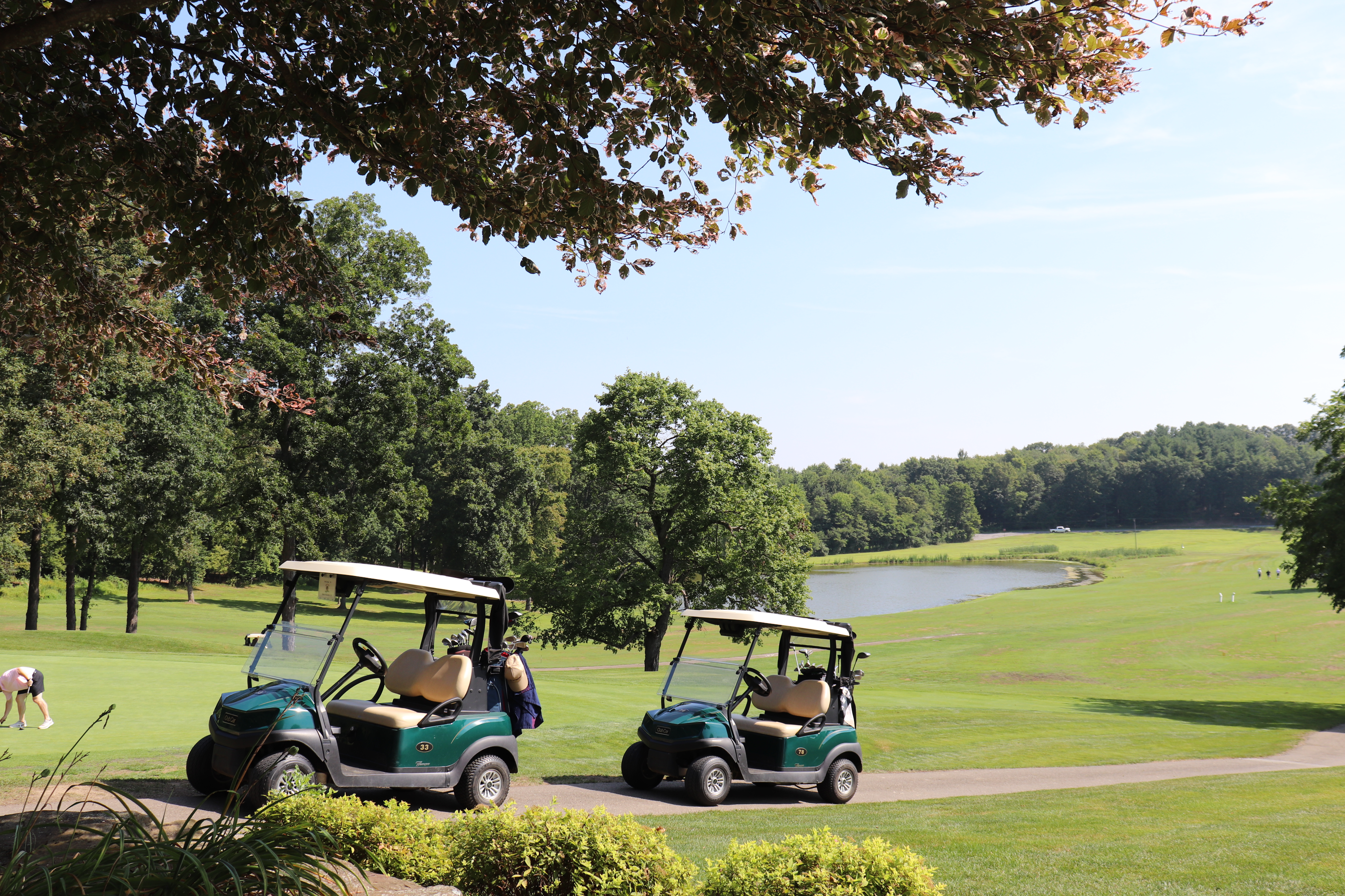 Golf Carts