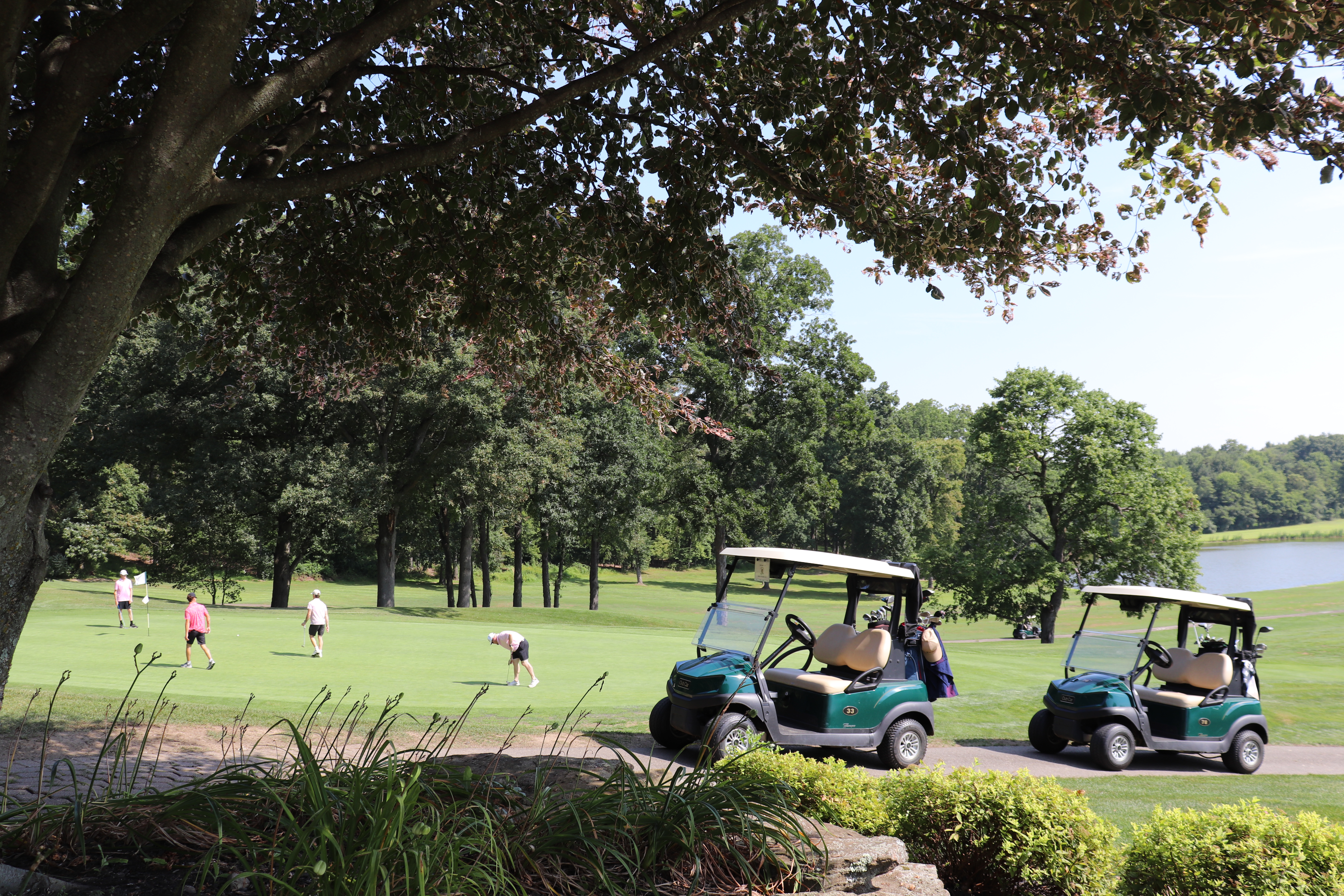 Golf Carts