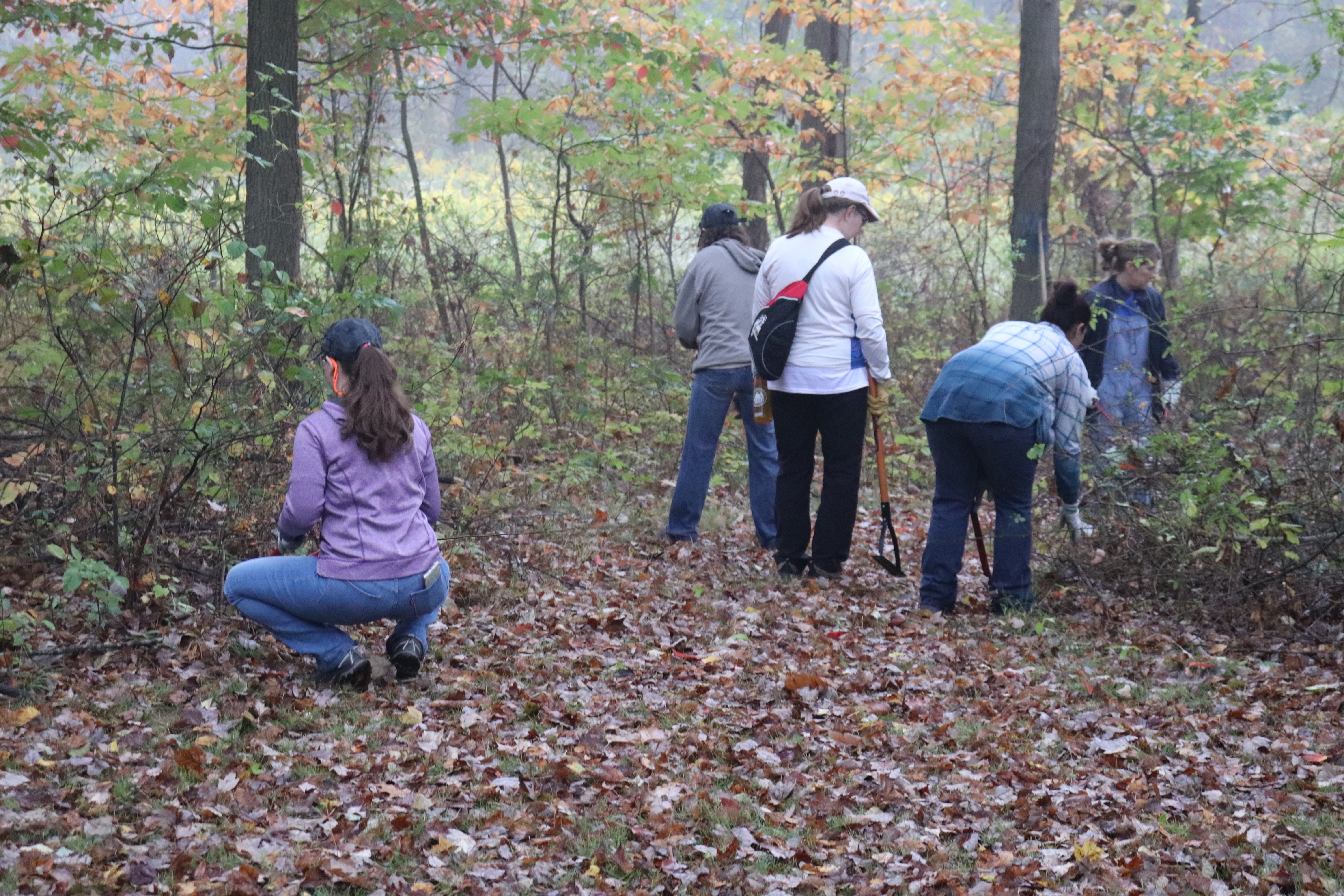 Volunteers clearing the hiking paths