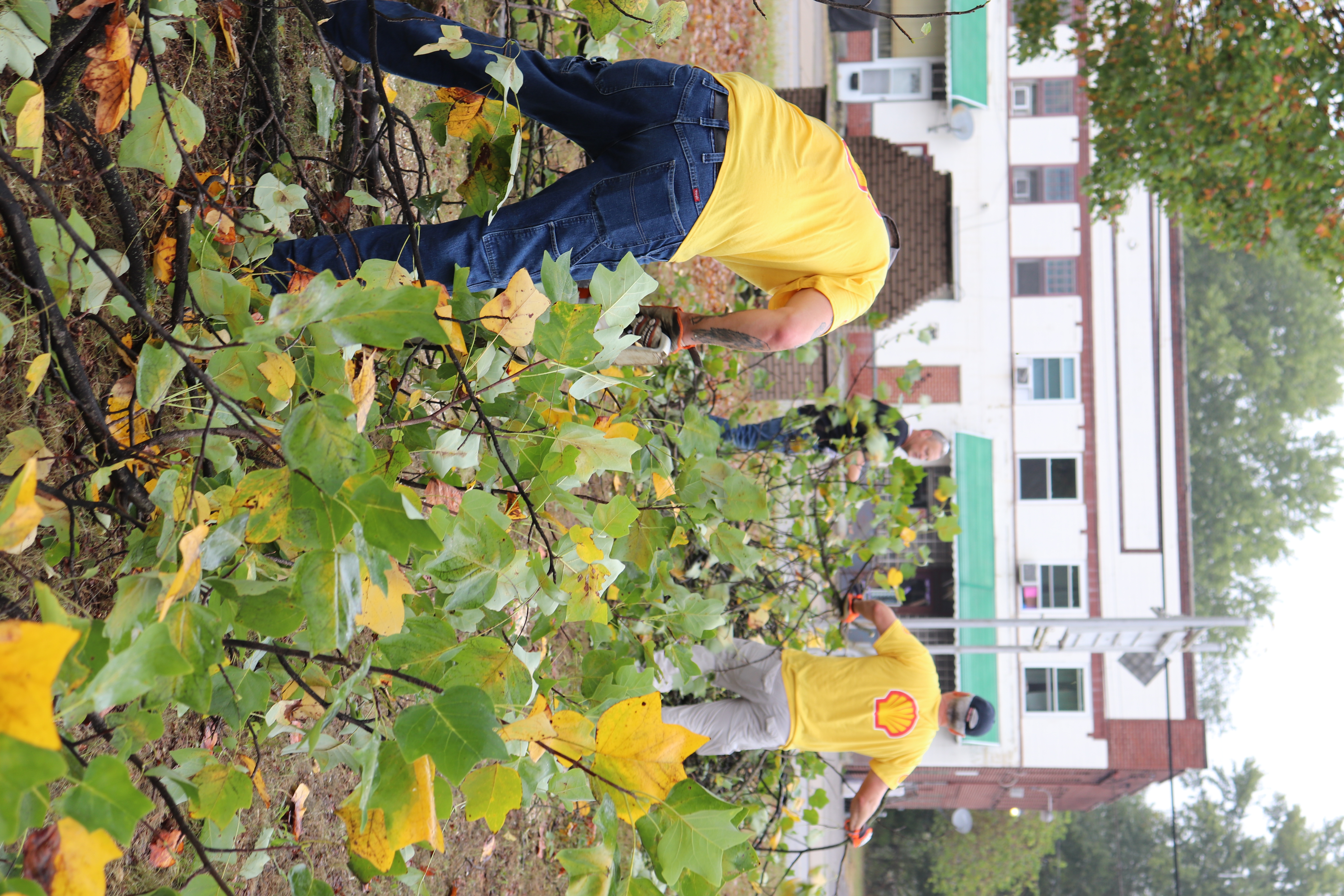 Volunteers doing yard work