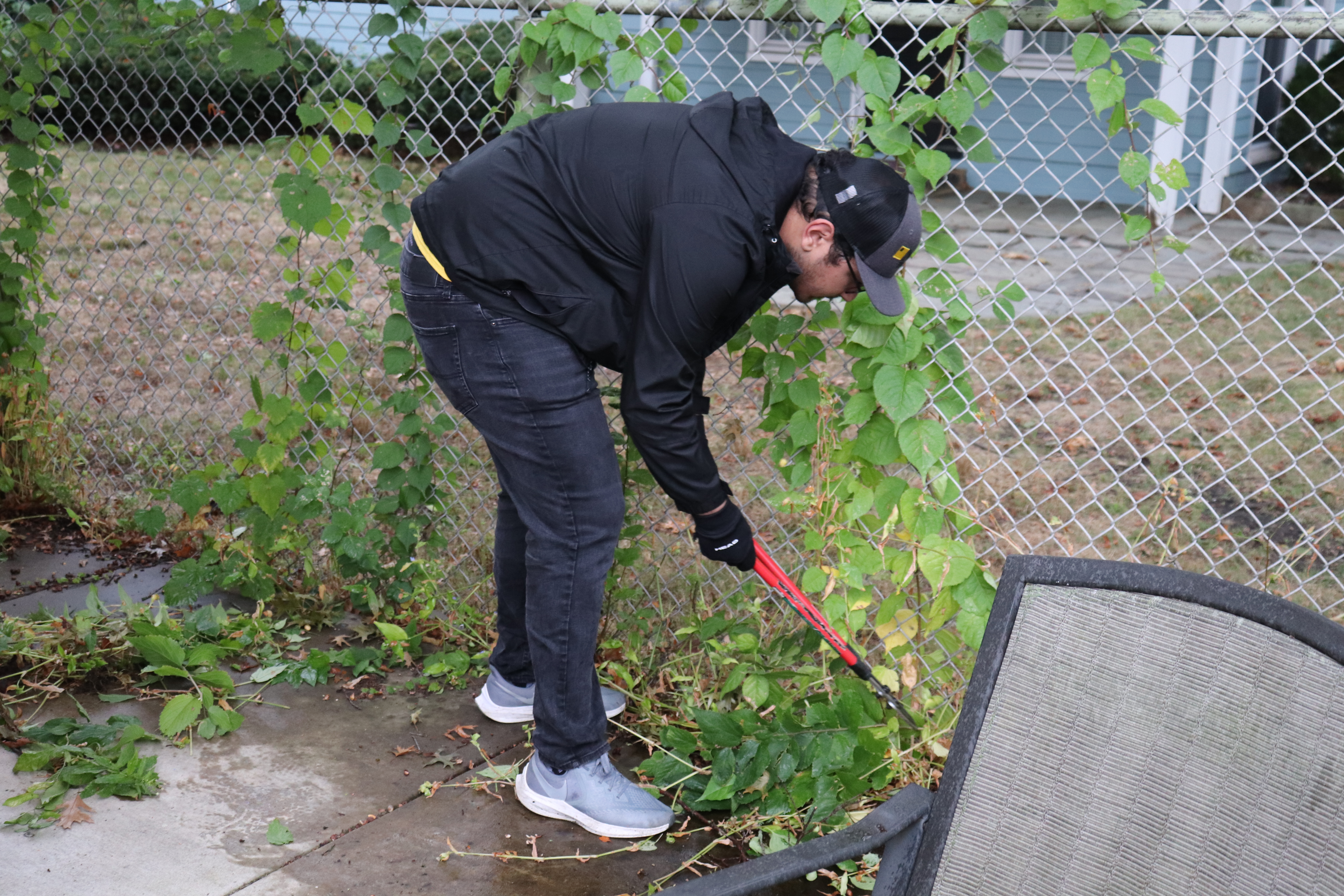 Volunteer weeding