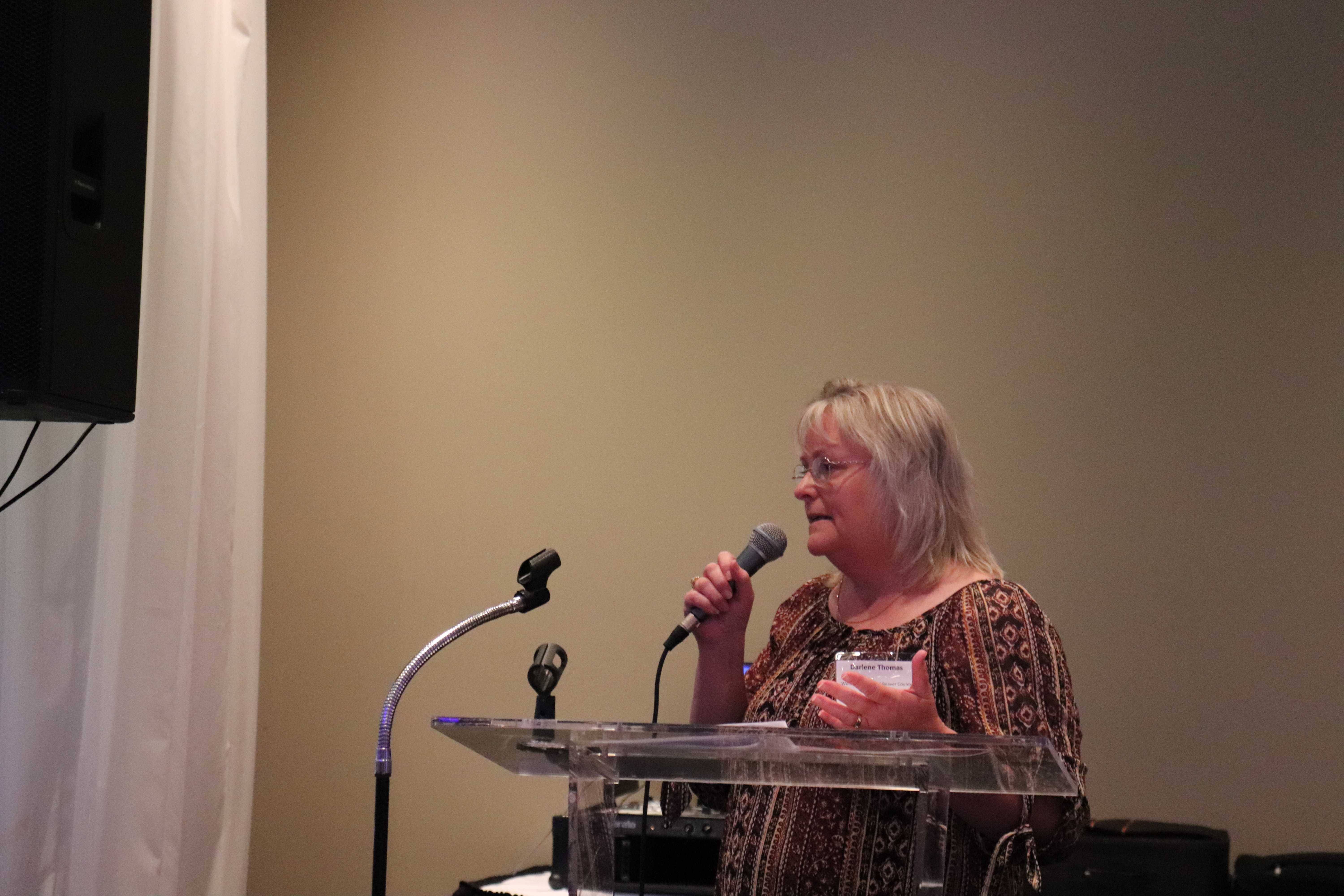 Darlene Thomas from the Women's Center speaking