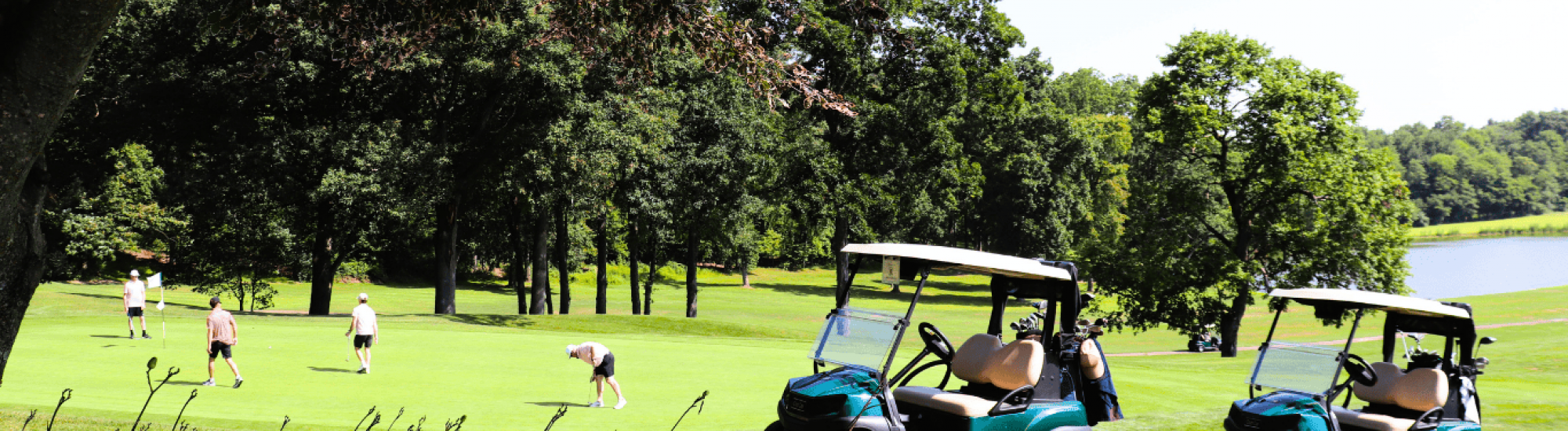 Golf Carts